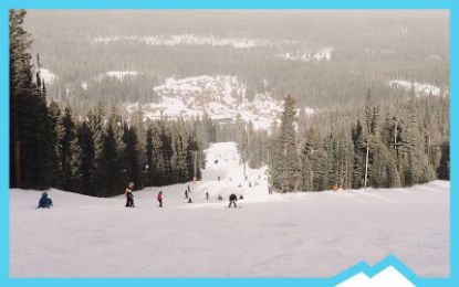 Picture of 2026 Learn to Ski/Snowboard Trip- Transfer Programs